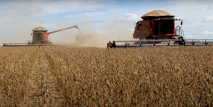 Agro brasileiro vive fase de ajuste e ainda não indica recuperação consistente, avalia especialista